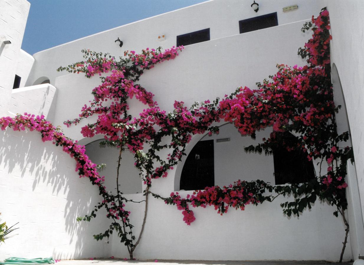 San Antonio Summer House بوسي لِفاذي المظهر الخارجي الصورة